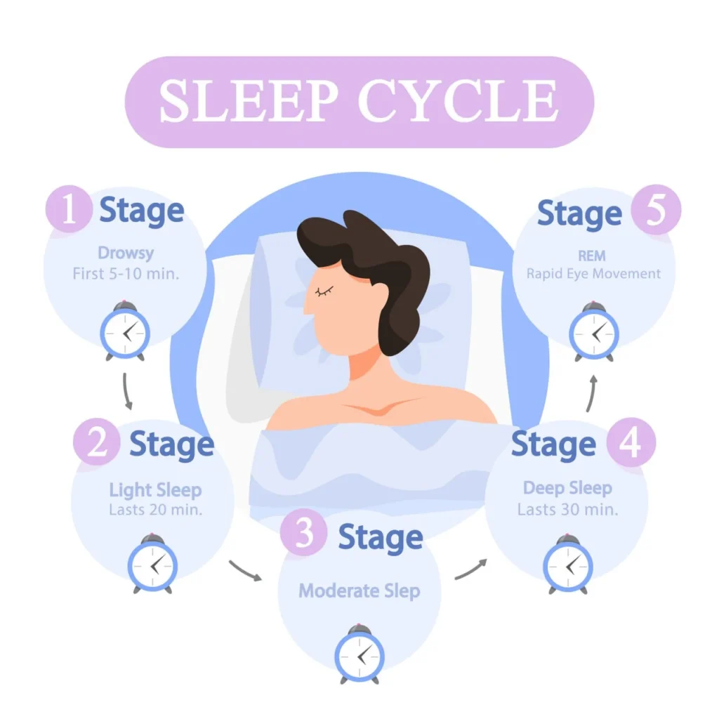 Understanding sleep cycle